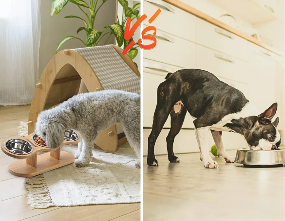 Verhoogde Kattenvoerbak 3-in-1 – Houten Stand met 3 Roestvrijstalen