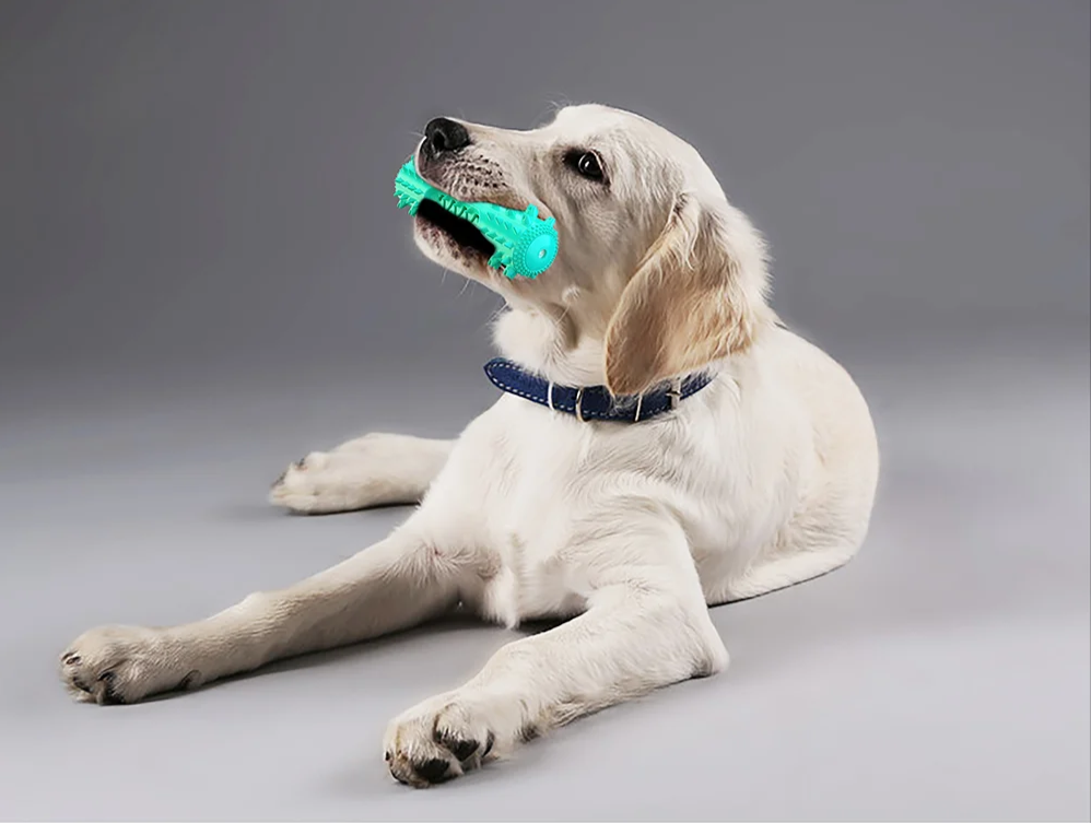 AquaBite Drijvend Piepspeeltje voor Honden
