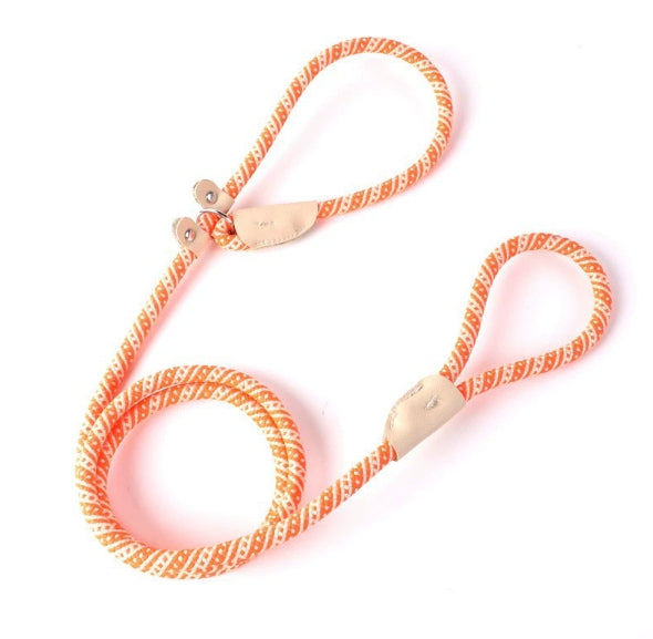 Handsfree Hondenriem P-Vorm – Verstelbaar Nylon