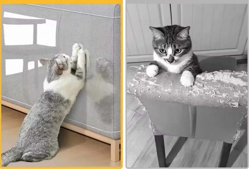 ScratchStop Zelfklevende Anti-Krasschild voor Katten