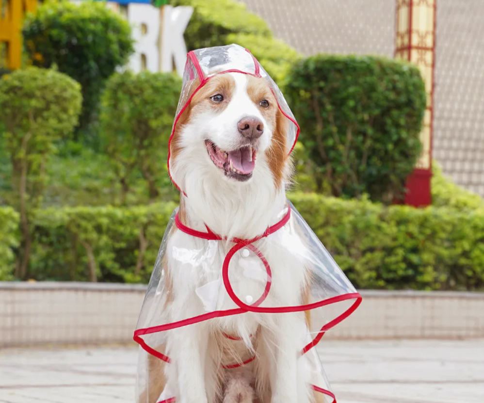 ClearPaw Transparante Regenjas voor Honden
