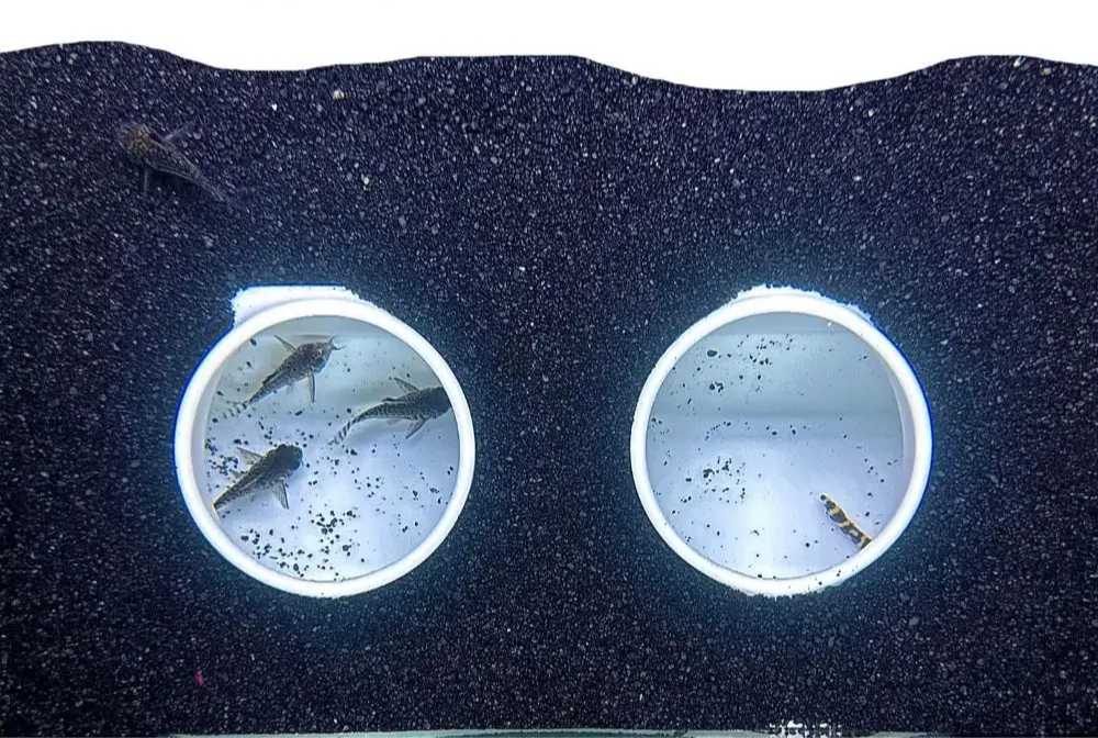 AquaTunnel Multifunctionele Ondergrondse Aquariumgrot