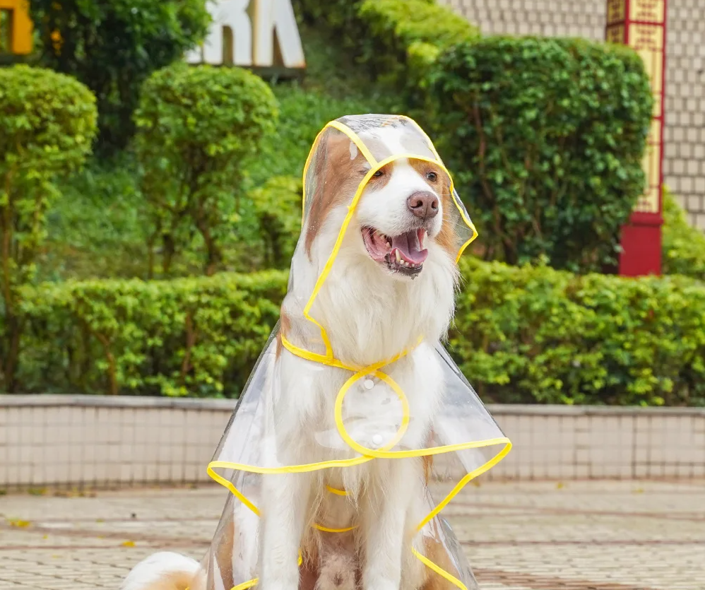 ClearPaw Transparante Regenjas voor Honden