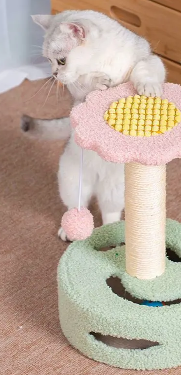 KlimPaws CozyClimb Kattenmeubel