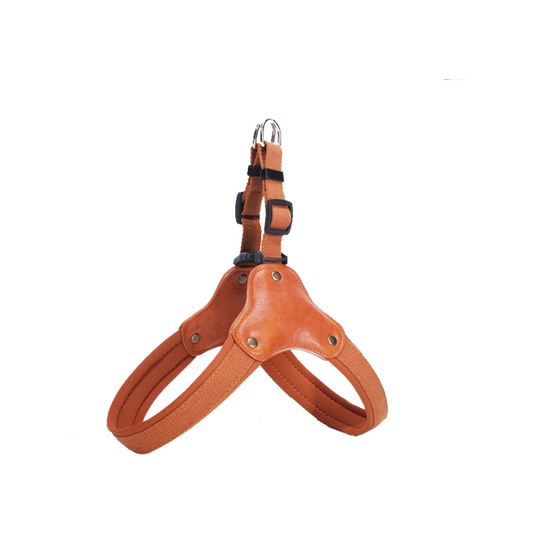 PawCommand Premium Outdoor Harness Set