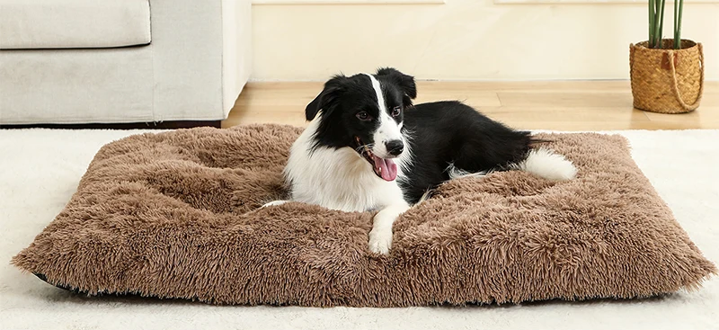 PawHaven Luxe Pluche Honden- & Kattenbed