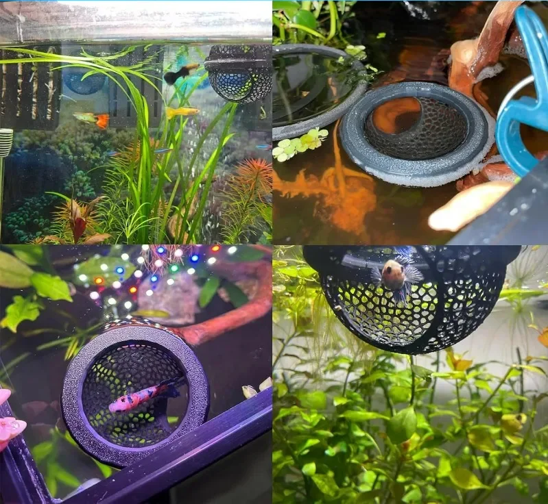 AquaHaven 3-in-1 Drijvende Grottenschuilplaats & Voederring voor Betta’s en Kleine Aquariumdieren