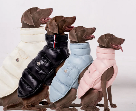 Premium Winter Windproof Hondenvest