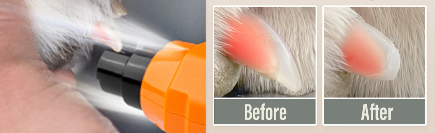 PawPerfect 6-Speed Elektrische Hondennagelvijl