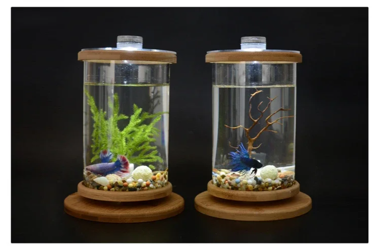 AquaGlow LED Cilindrisch Mini Aquarium