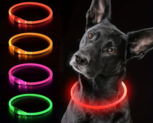 GlowGuard LED Veiligheidshalsband voor Honden – USB Oplaadbaar & Reflecterend