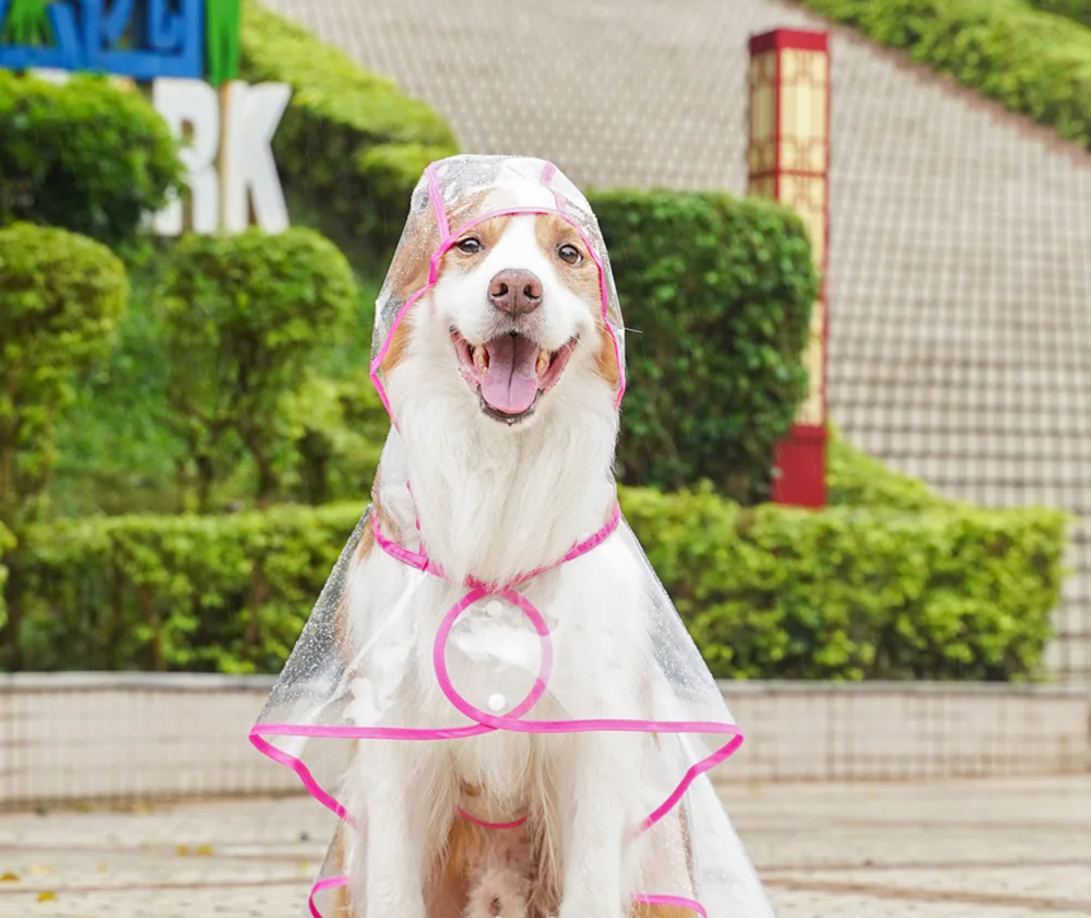 ClearPaw Transparante Regenjas voor Honden