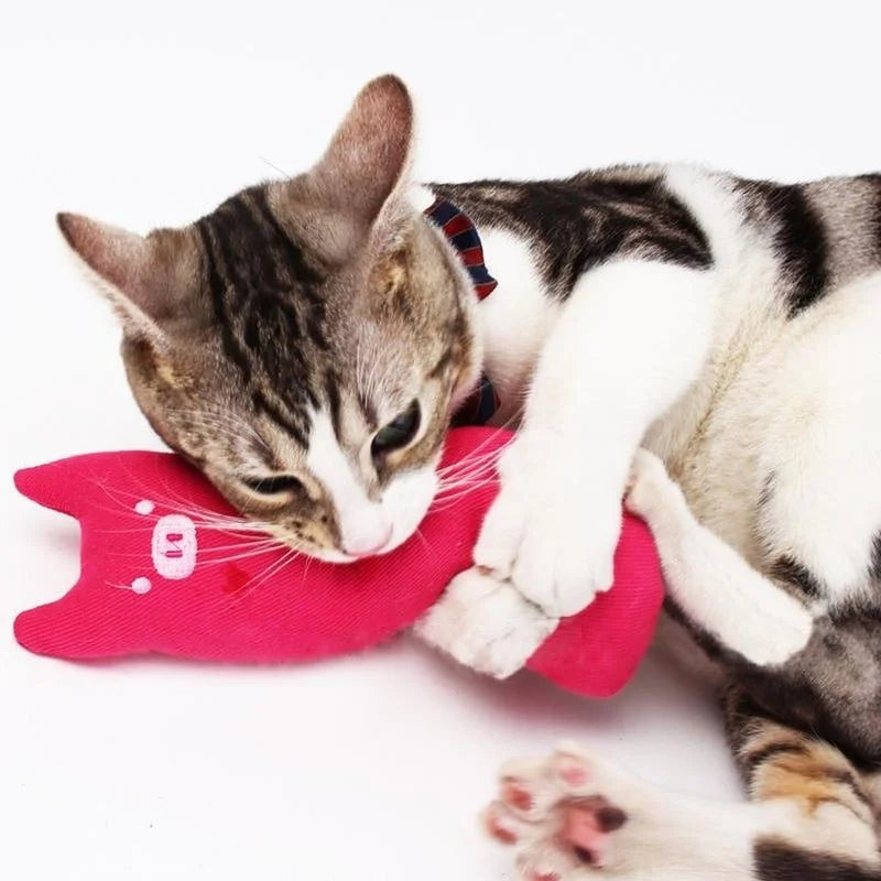CatCraze Velvet Kicker – Creatief Kattenspeeltje met Catnip voor Krabben, Bijten & Spelen
