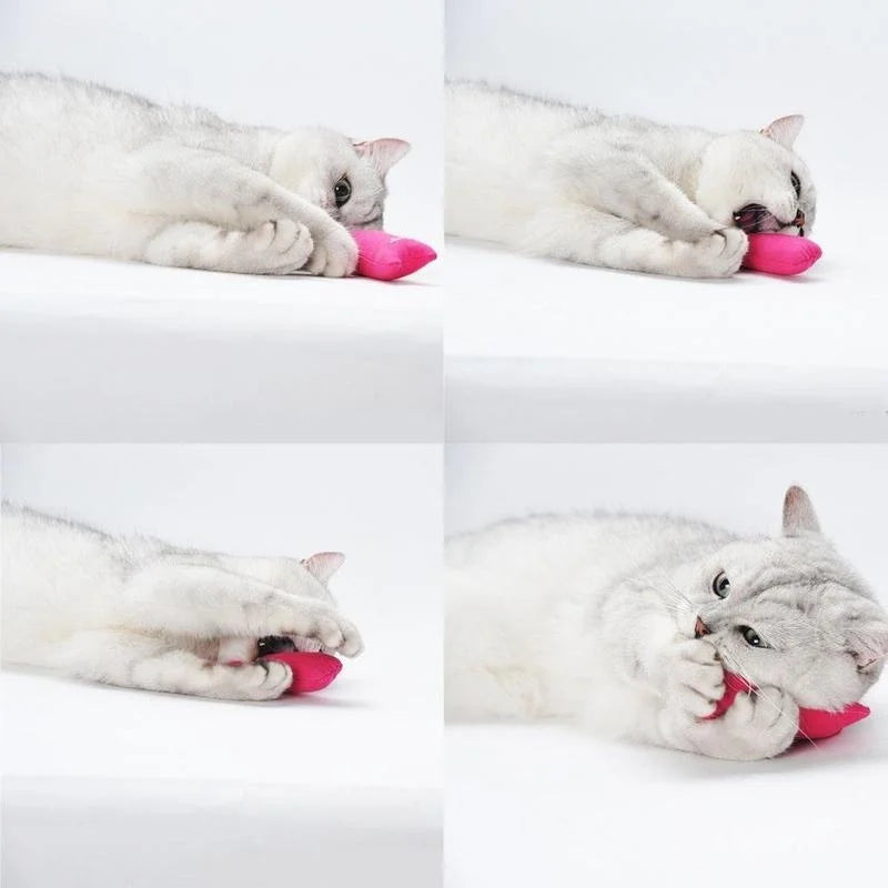 CatCraze Velvet Kicker – Creatief Kattenspeeltje met Catnip voor Krabben, Bijten & Spelen