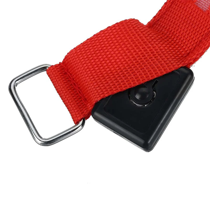 NightStride Safe – LED Veiligheidsbeenbanden voor Paarden