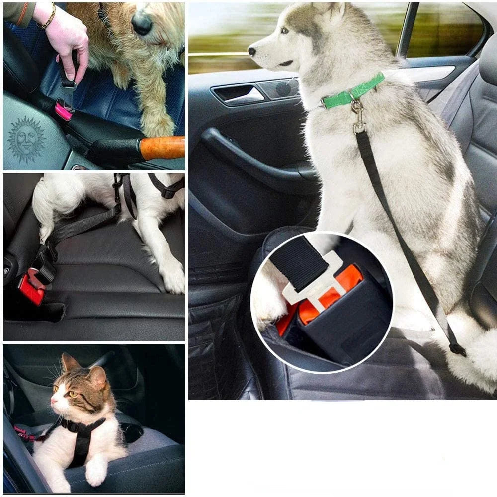 SAFEPAWS – Verstelbare Autogordel voor Huisdieren | Veiligheidsriem voor Hond & Kat
