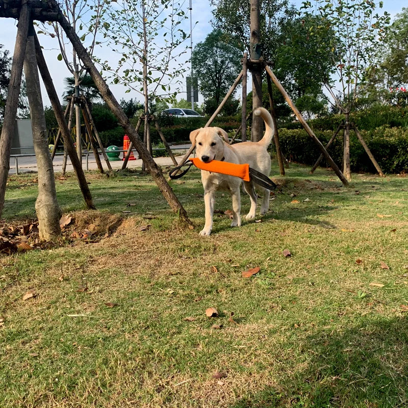 PowerPlay Honden Bijtstok