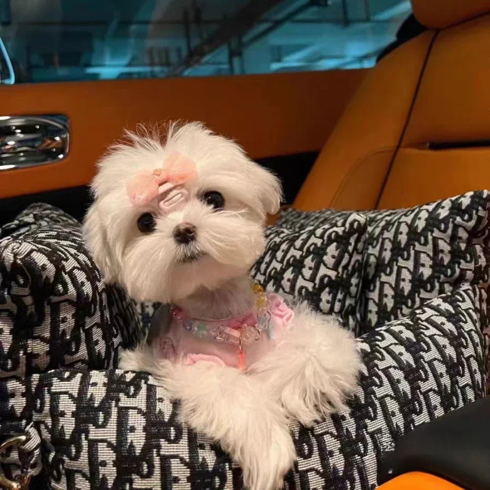 Dog Car Kennel – Afneembare en Wasbare Huisdierkennel voor Herfst & Winter