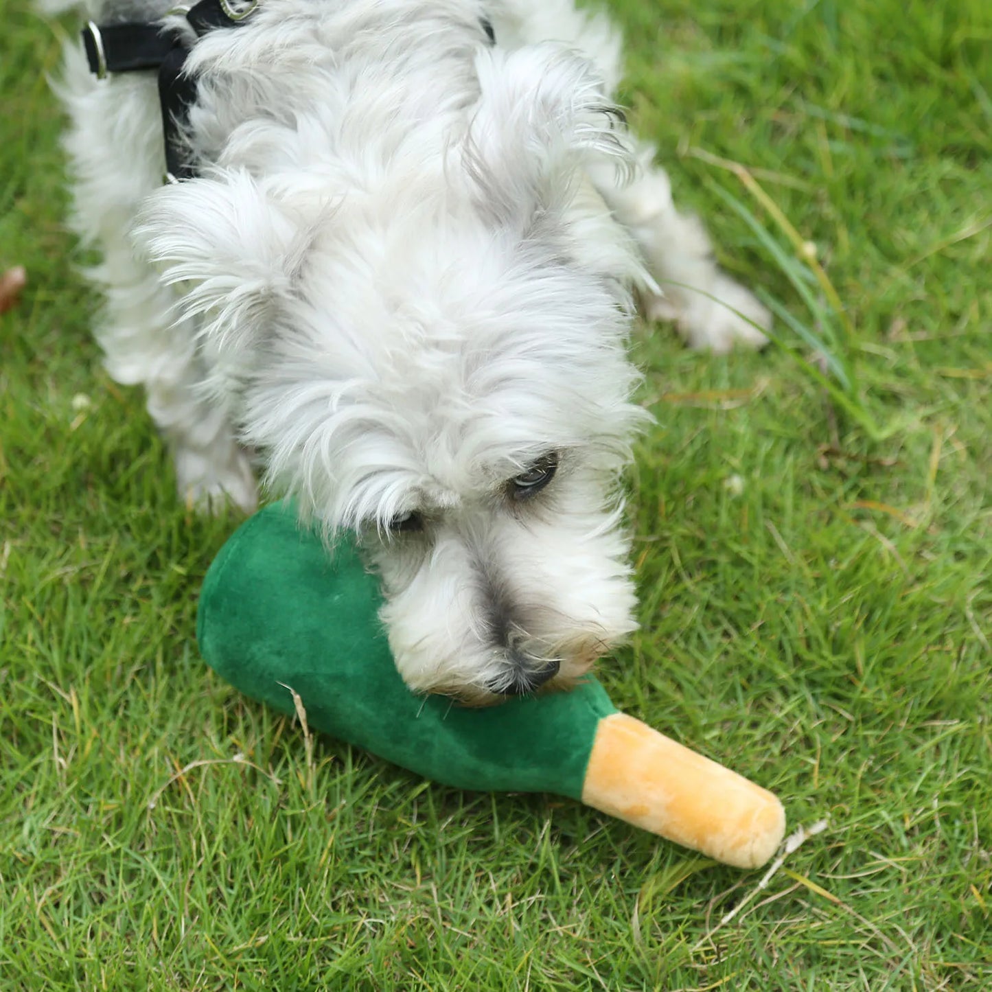 PawJoy Gele Wijnfles Interactief Hondenspeelgoed