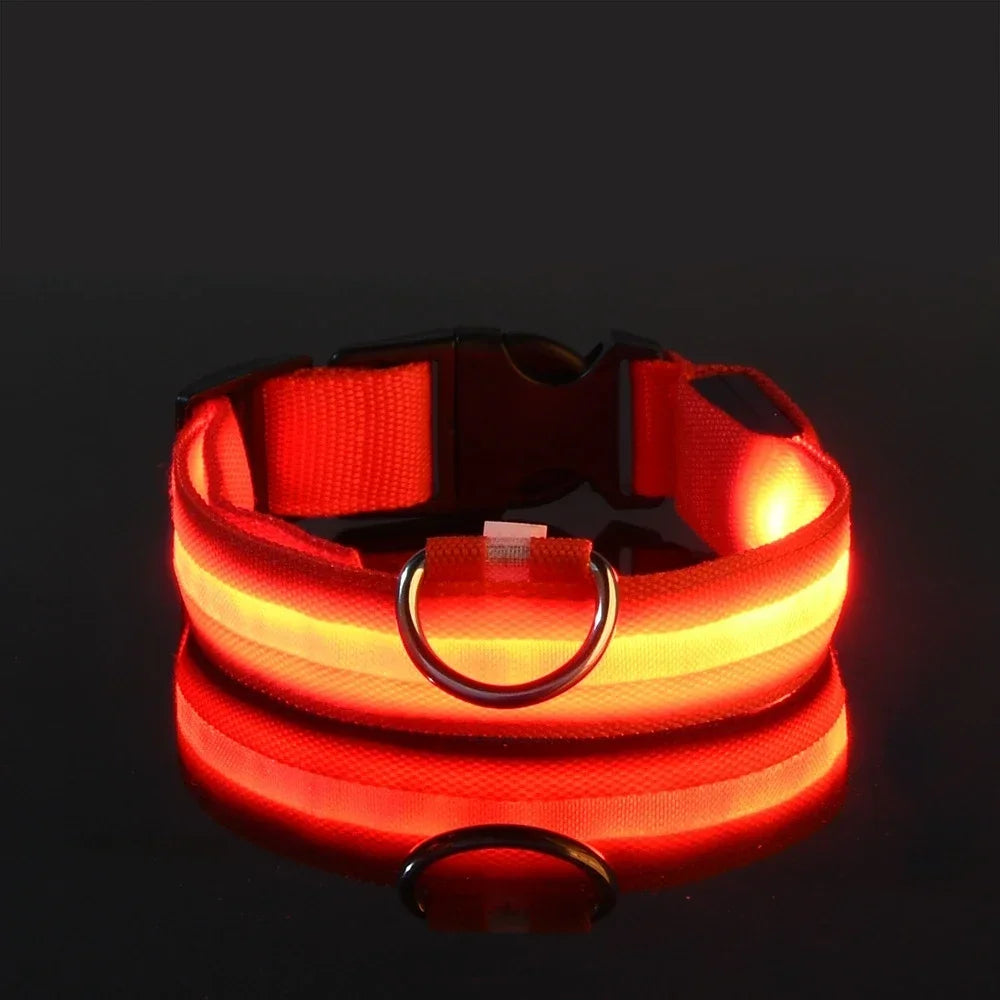 LumiSafe LED Hondenhalsband