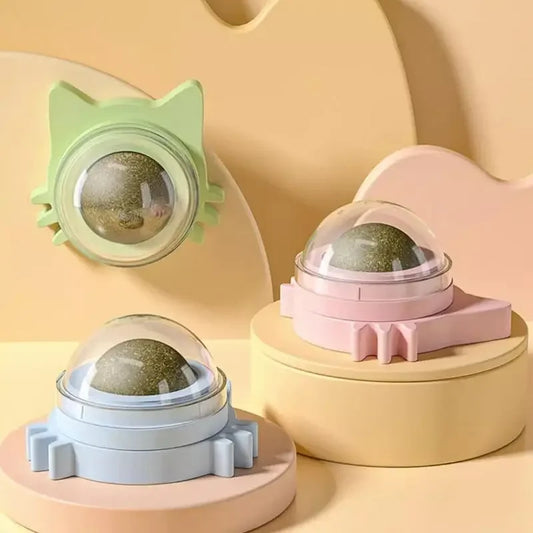 MINTYPLAY Lickbare Kattenkruidenbal – Snack, Speelgoed & Tandverzorging in Één!