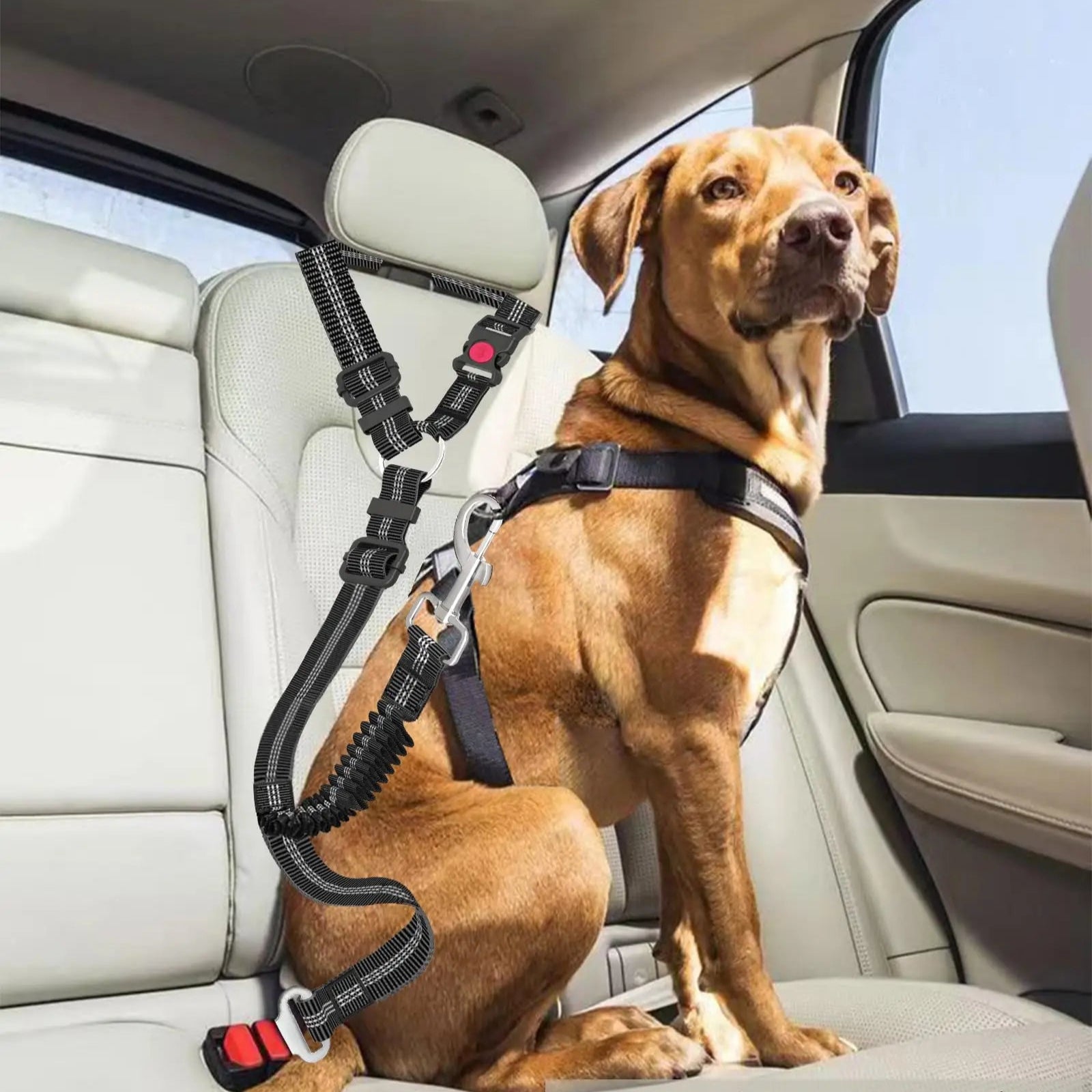 Aanpasbare Autogordel voor Honden