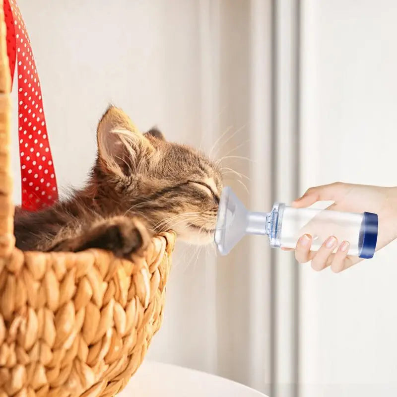 AirPaws Pet Inhalation Chamber