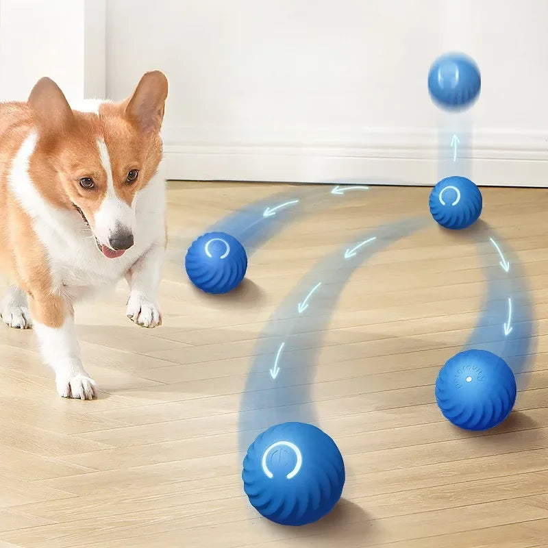 JumpiBall – Intelligente Springbal voor Honden