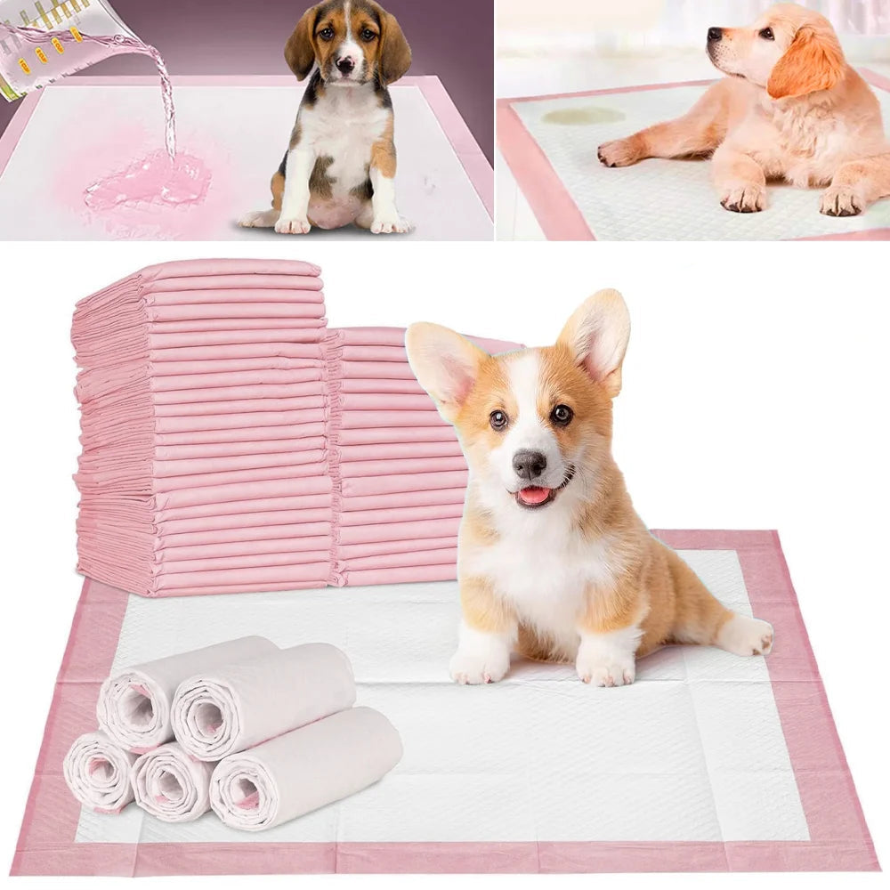 DRYPAWS – 50x Wegwerp Honden Plasmatten