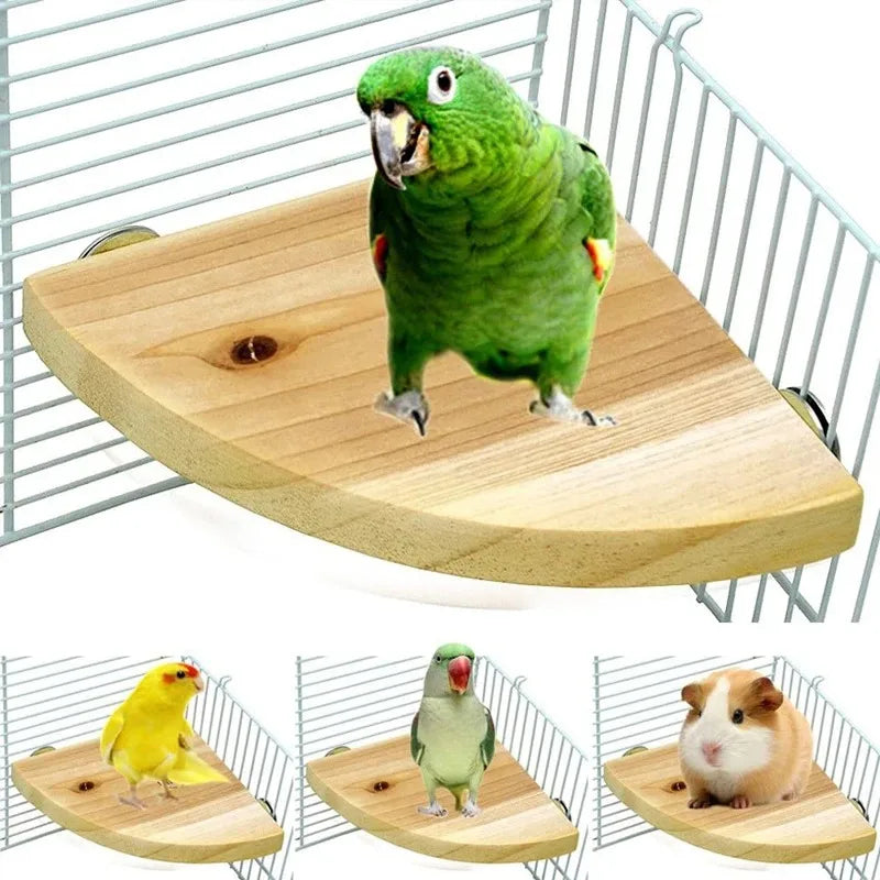 Papegaaienzitstok standaard hout – natuurlijk, waaiervorm