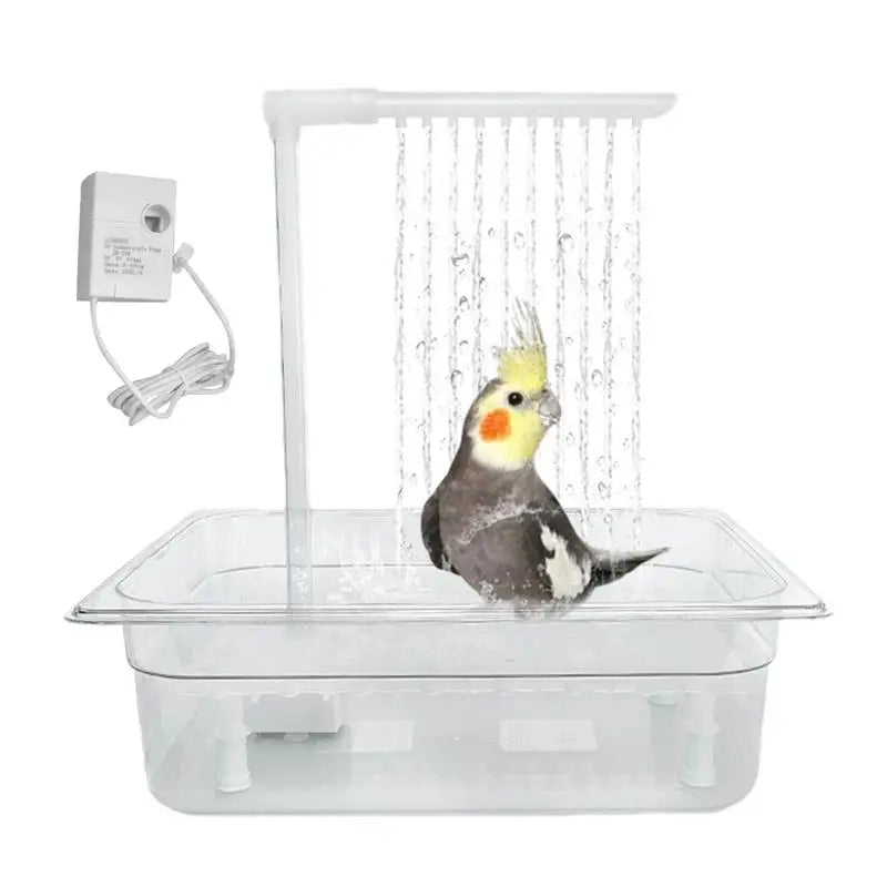 Automatic USB Bird Shower Fountain