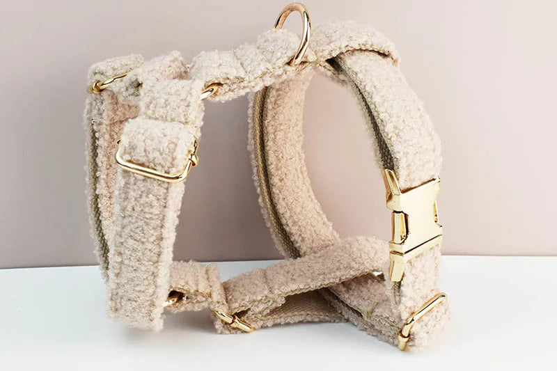 TeddyVeluxe Gepersonaliseerde Hondenhalsband & Riemenset