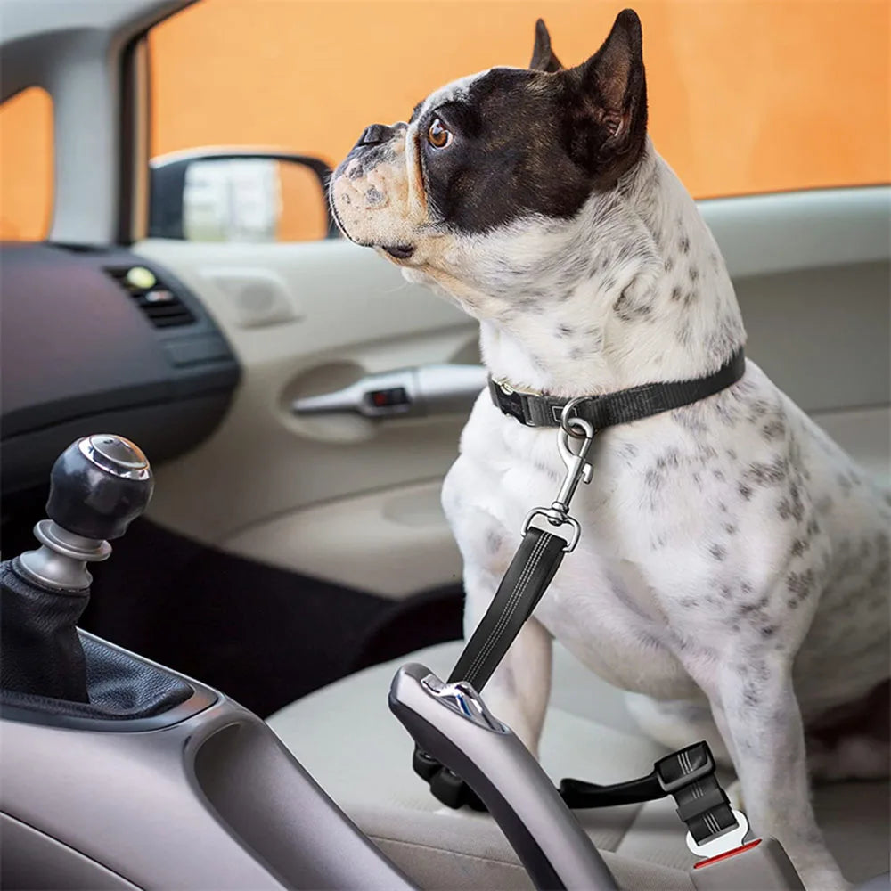 SafeRide FlexGuard – Verstelbare Autogordel & Harnas