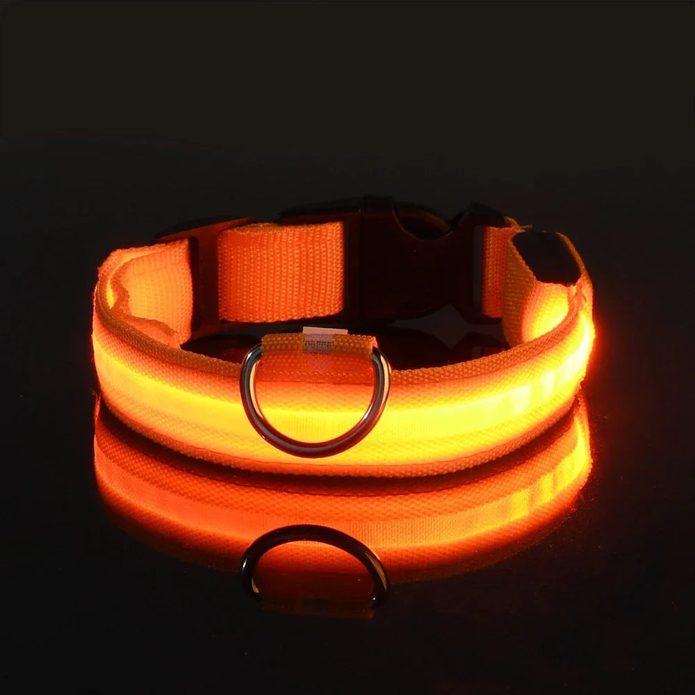 LumiSafe LED Hondenhalsband
