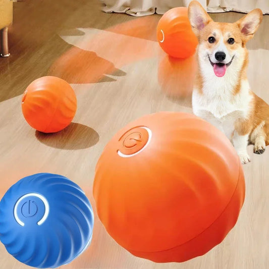 JumpiBall – Intelligente Springbal voor Honden