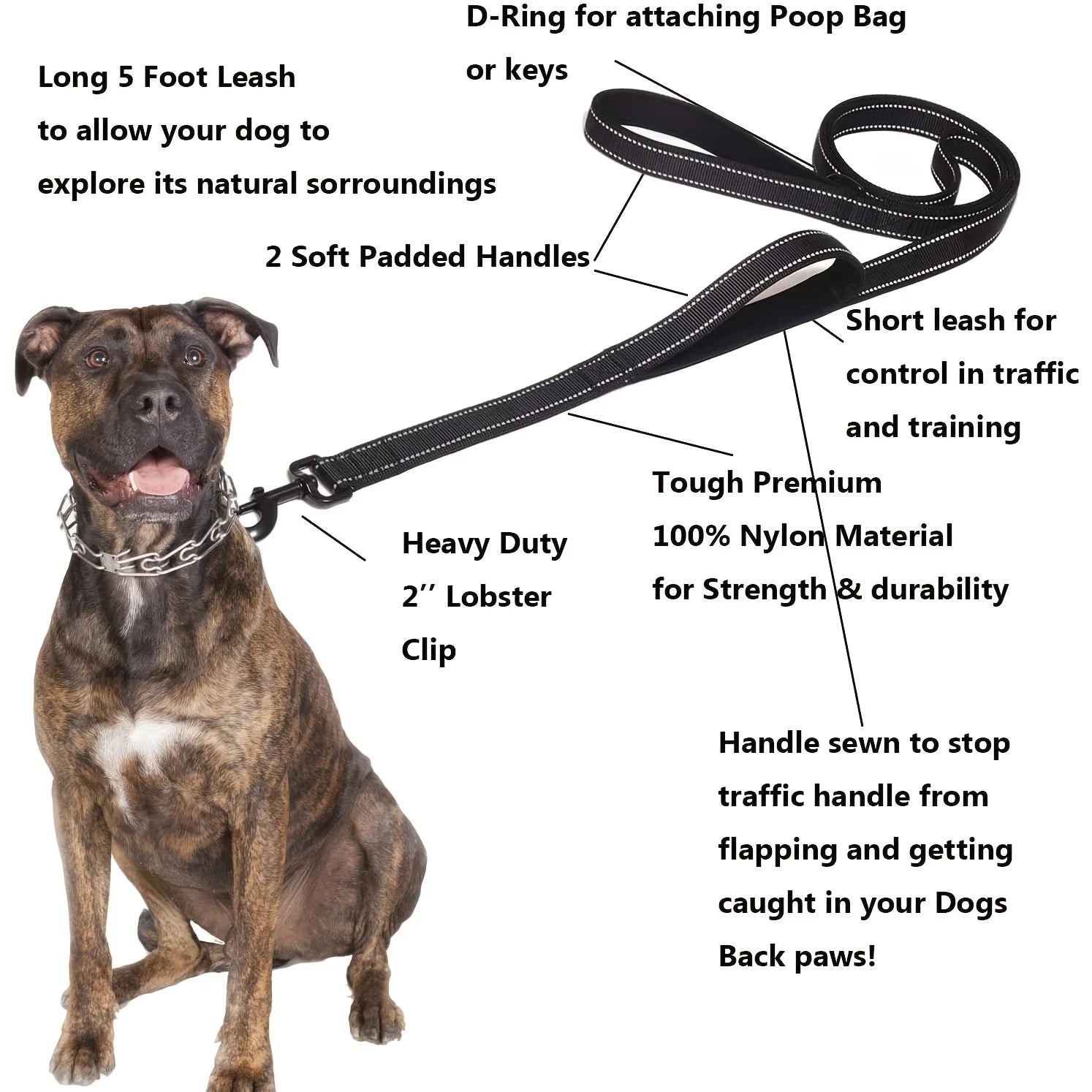 Zware Dubbele Hondenhalsband – Ketting en Nylon, 150 - 180cm