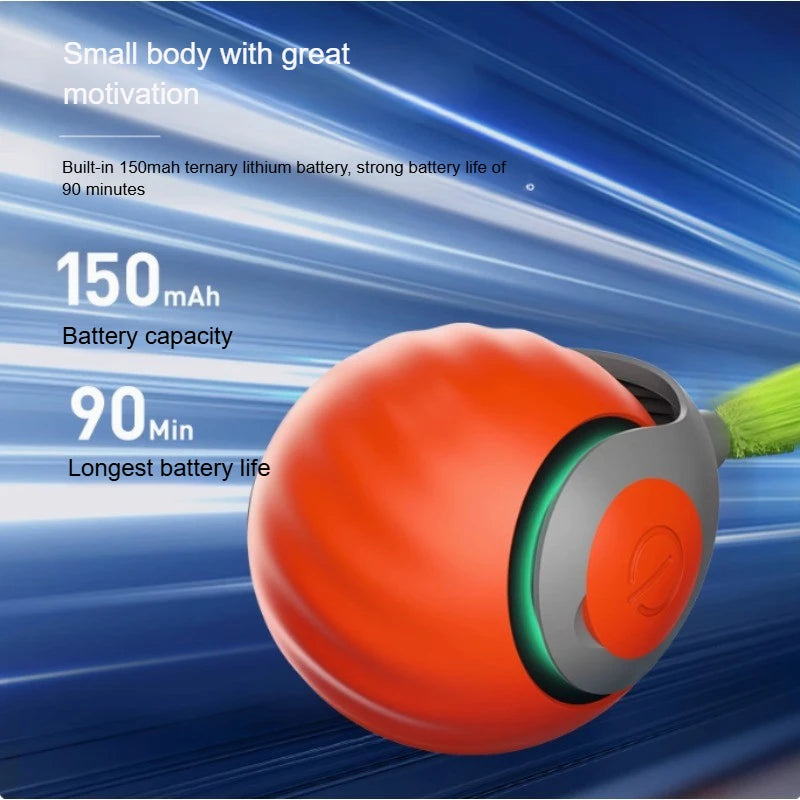 Speedy Tail 2.0