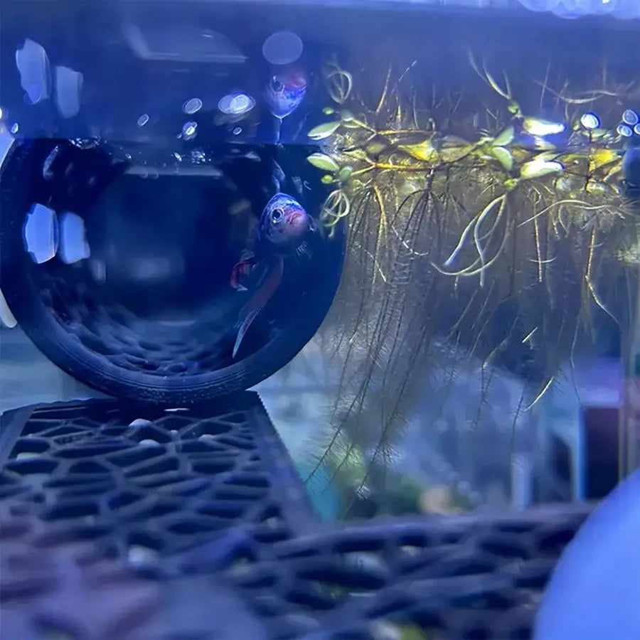 AquaHaven Zwarte Aquarium Verstopbuis met Zuignap