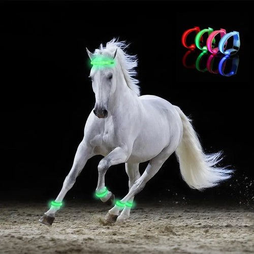 NightStride Safe – LED Veiligheidsbeenbanden voor Paarden