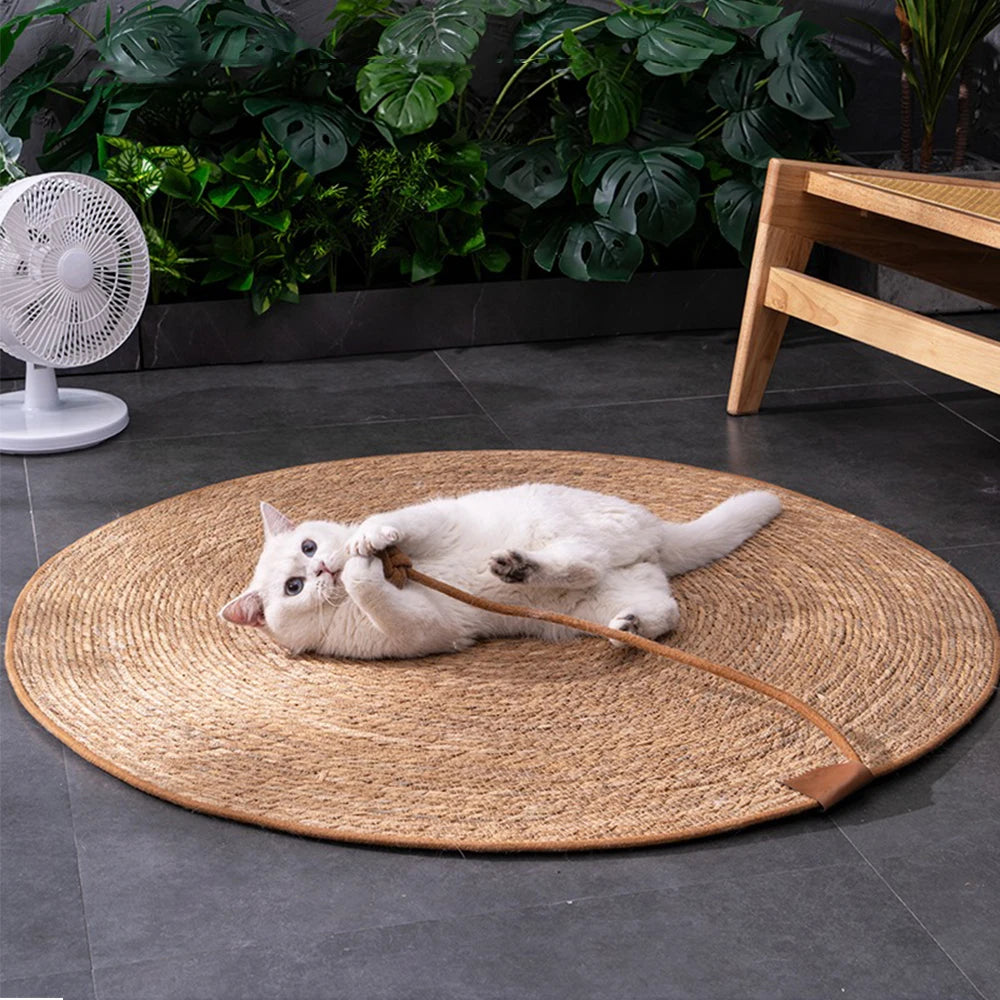 KlimPaws Rattan Krabmat