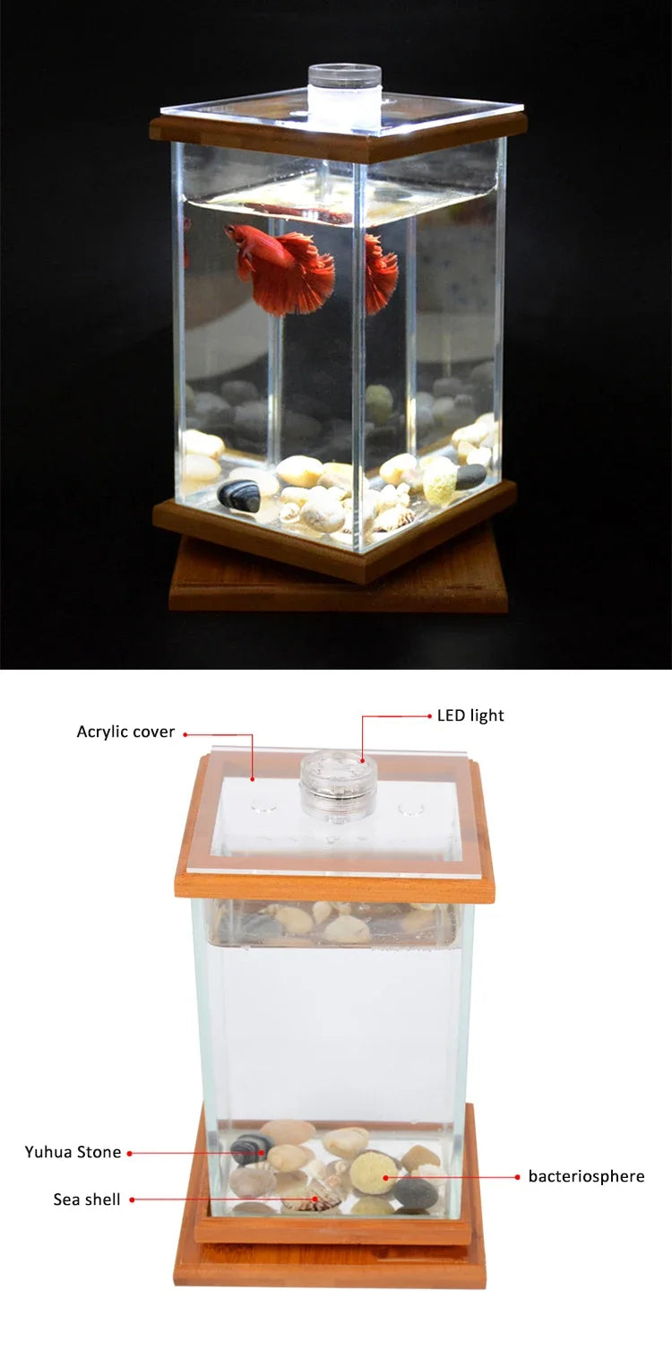 AquaGlow LED Cilindrisch Mini Aquarium