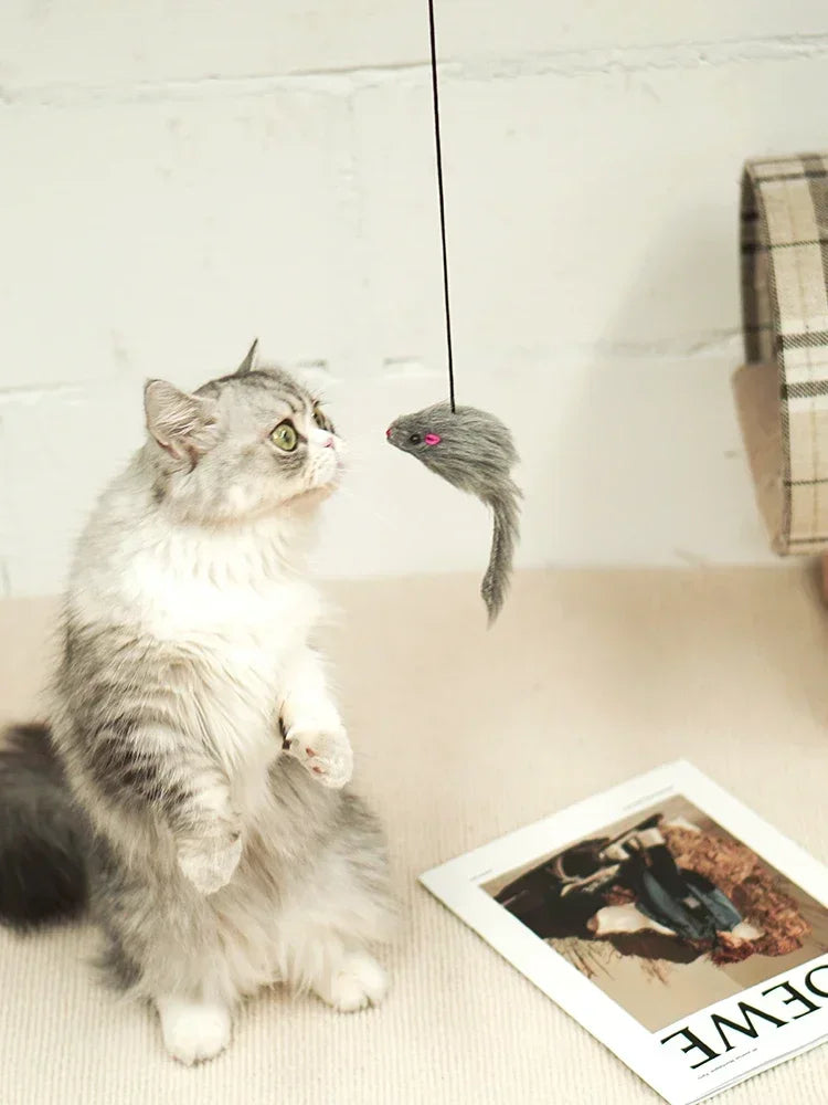 MousePlay Deurhanger Katten Speelgoed