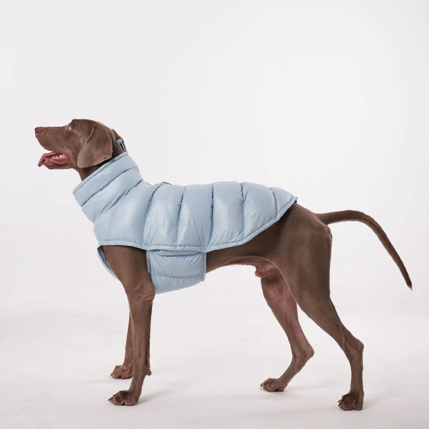 Premium Winter Windproof Hondenvest