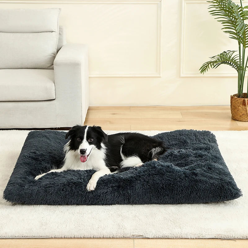 Pluche Hondenmand – Zachte Mand voor Hond of Kat (60–70cm)
