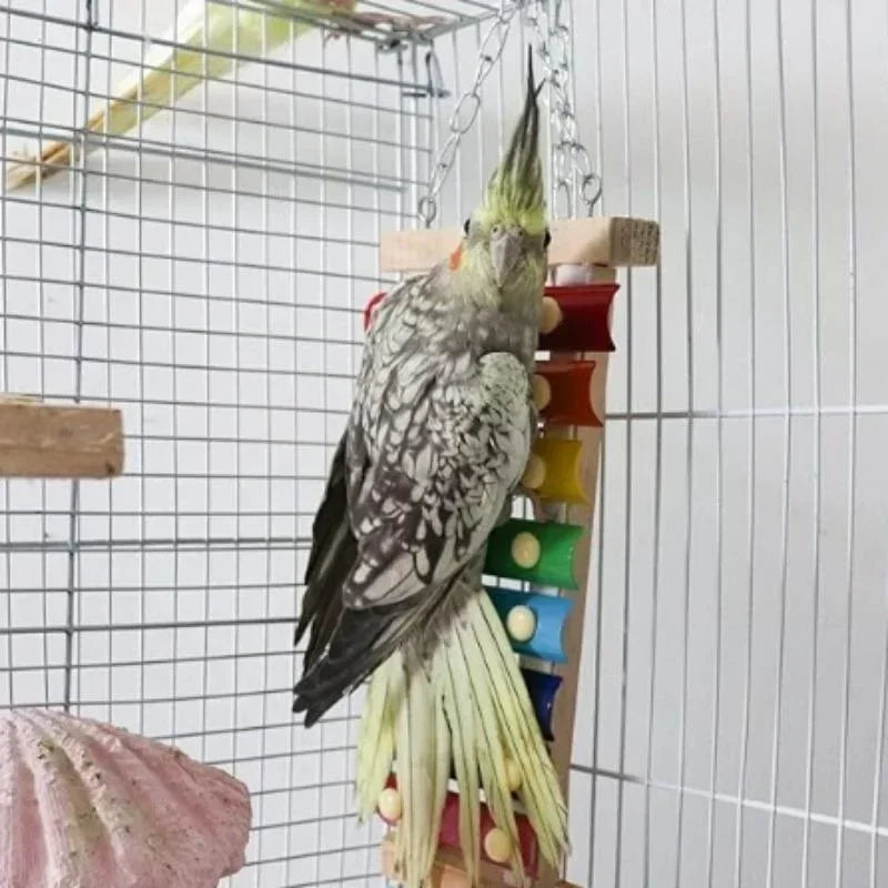 Vogelxylofoon speelgoed hout & metaal – kleurrijk kip- en parkietspeelgoed