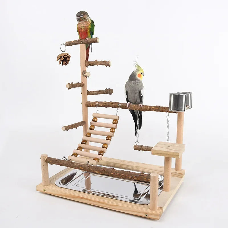 Papegaaien klimtrainingsstation