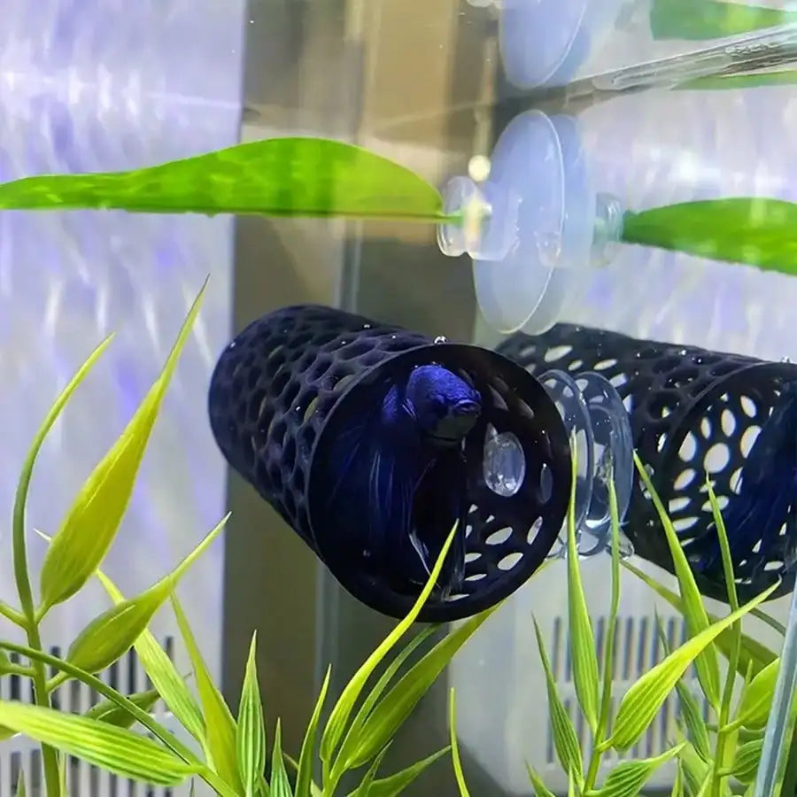 AquaHaven Zwarte Aquarium Verstopbuis met Zuignap