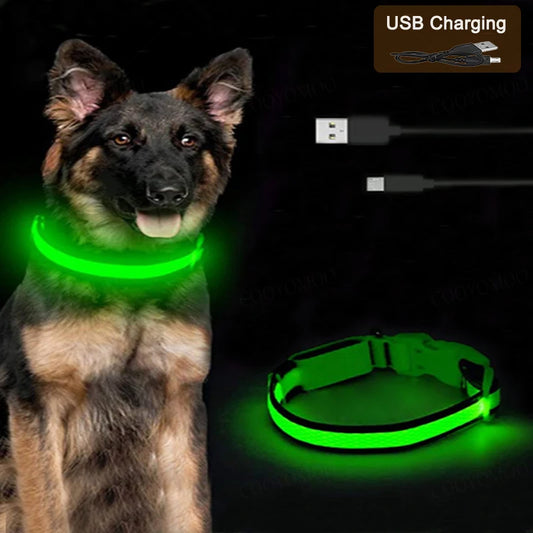 LumiGlow 3-Modes LED Oplaadbare Hond Halsband