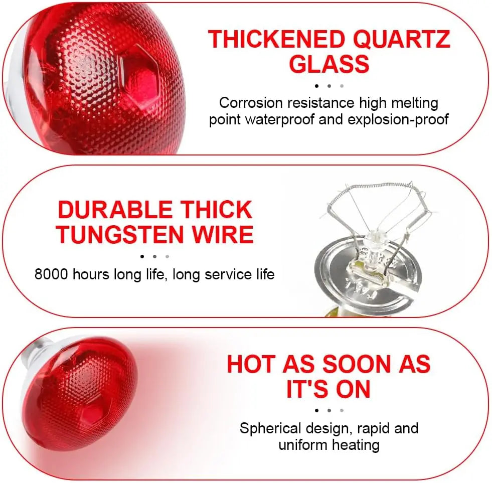 Reptielen warmtelamp