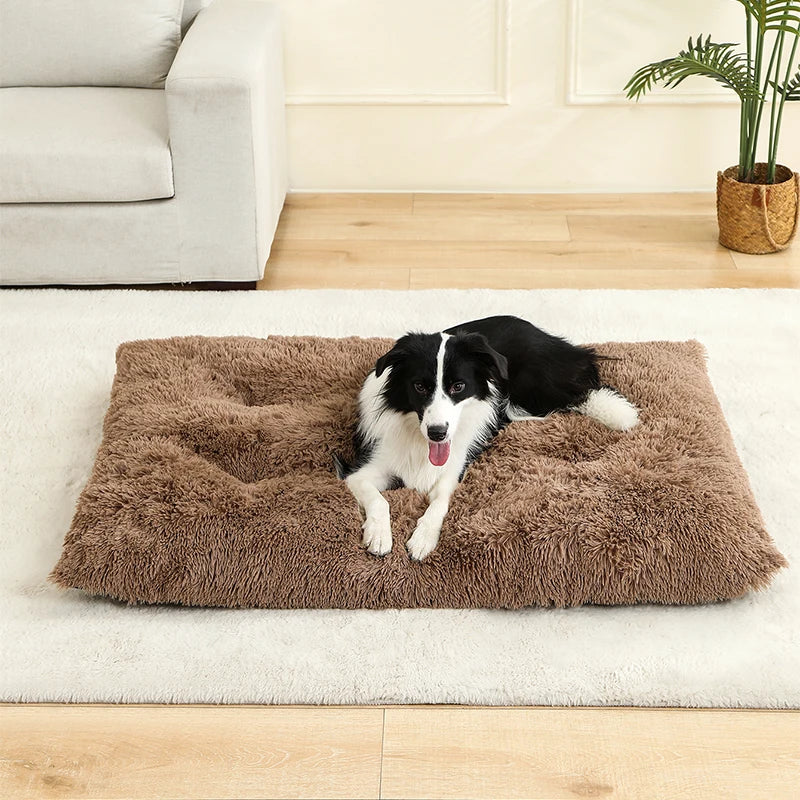 Pluche Hondenmand – Zachte Mand voor Hond of Kat (60–70cm)